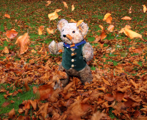 Binky throw up autumn leaves on days out with the kids