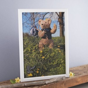 Binky Bear on a hike print