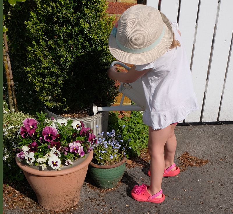 Gardening For Kids