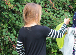 Child Picking Blackberries