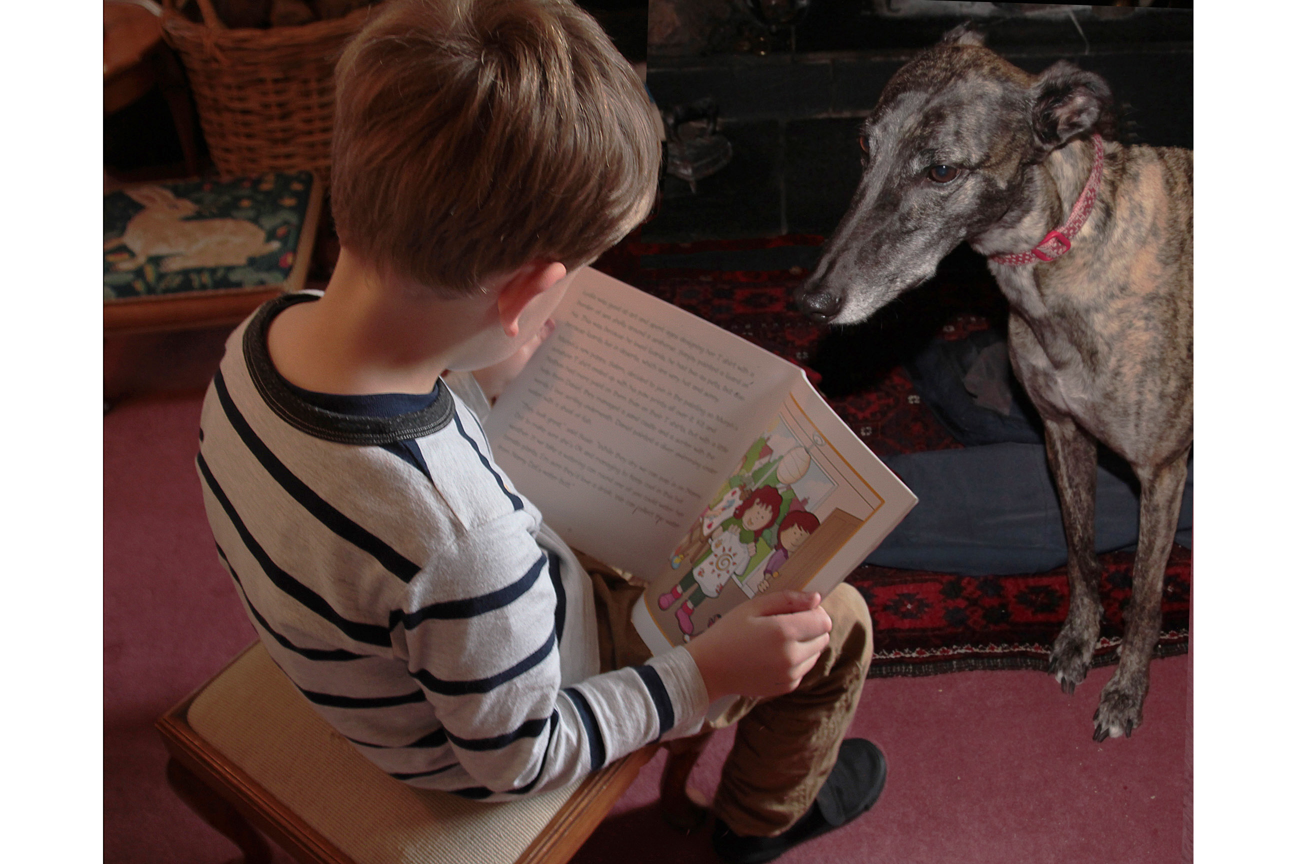Picture of a boy reading to a reading dog